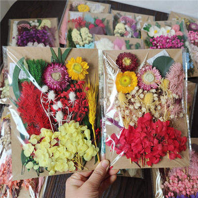a5压押花材料包diy浮游花花卉