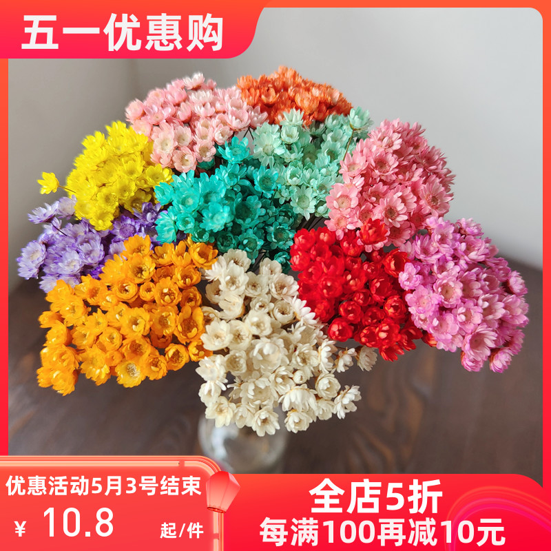 干花巴西进口小星花果冻口红干花小雏菊家居拍照道具装饰永生花