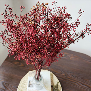 飾花材 云南永生花 小米果 家居裝 紅色情人節(jié) 頭飾花材