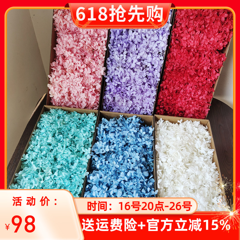 包邮绣球花木绣球塔状中叶云南圣诞永生花独角兽diy球衣花束