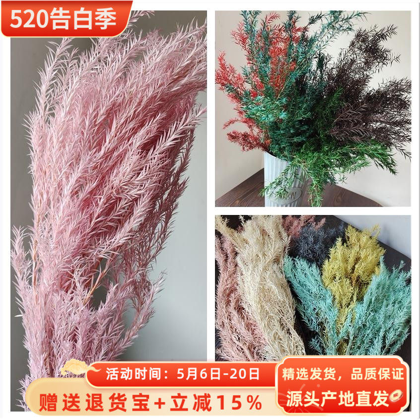 永生千层金 森系自然干花礼盒 真花叶子树枝配材北欧家居装饰