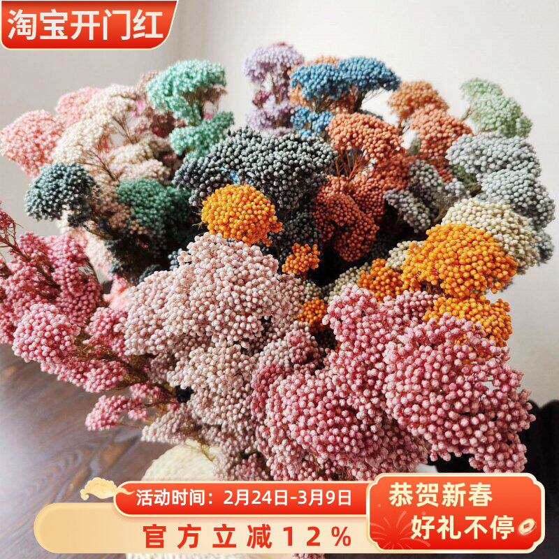 保鲜花小米花 永生花米花 米草DIY家居装饰插花情人节花束求婚白