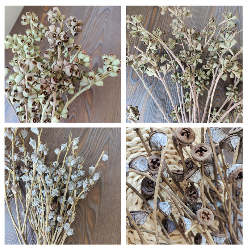 植物干枝花万家森系装饰