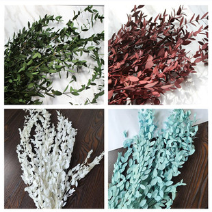飾花束森系節(jié)日藍(lán)色 云南永生花細(xì)葉尤加利美葉桉北歐家居插花裝
