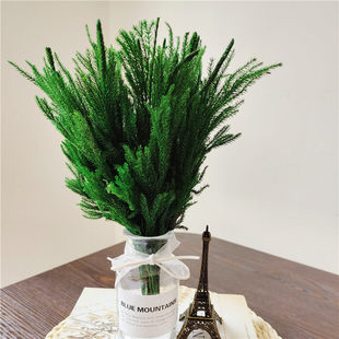 石松家居装饰插花永生花香薰蜡烛云南软装干花dried flower