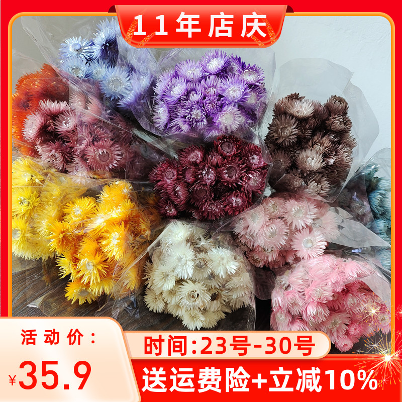 旱雪莲干花花束岩石花进口家居民宿装饰插花雏菊拍摄道具真花 - 封面