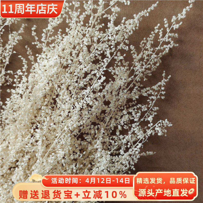 永生花米蒿草花干花花束家居摆件婚礼装饰香薰蜡烛花材diy材料包