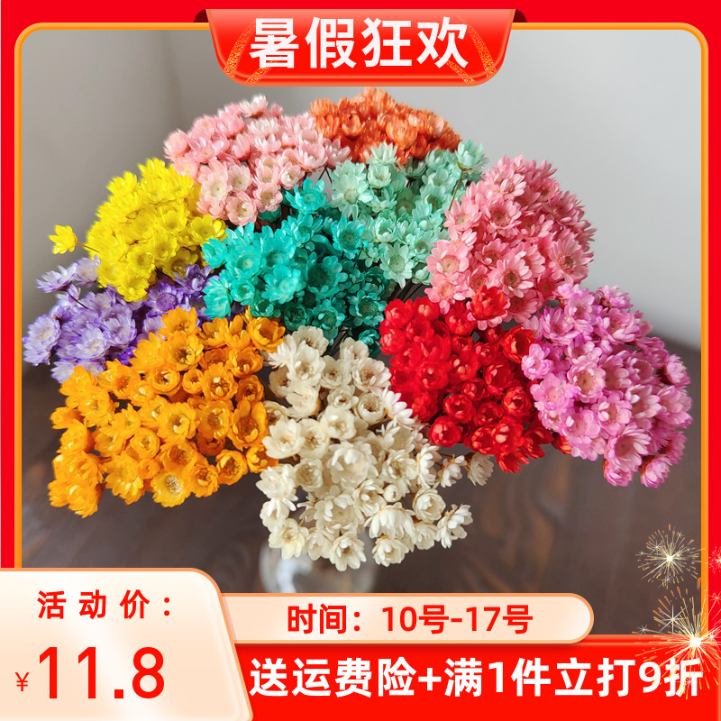 干花巴西进口小星花口红拍照道具
