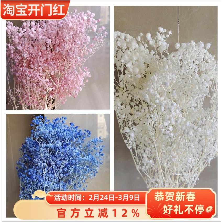 永生花梦幻星花束手工diy材料相框漂色满天星七夕礼物长生花漂白