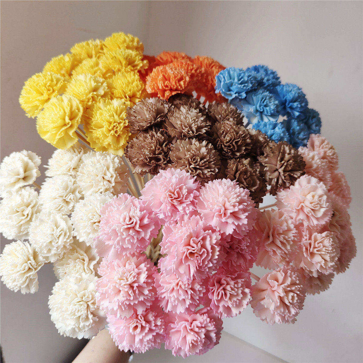 康乃馨通草花花万家彩色装饰香薰图片