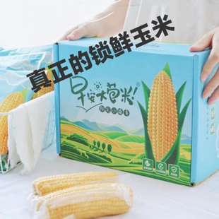 早安大苞米稻我家锁鲜玉米棒麦秀年25年黄糯头茬糯10棒公主岭粗粮