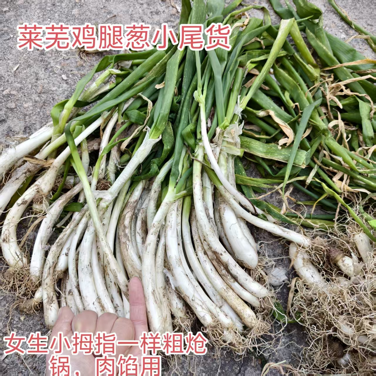 鸡腿葱尾货 做肉馅用细小处理介意勿拍