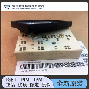 SKIIP32NAB12T7 SKIIP31NAB125T SKIIP32NAB12T49 81AC128IST1询