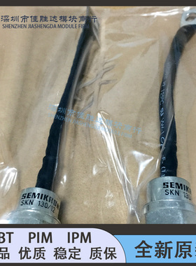 二极管SKR130/16 SKN130/16 SKR130/12 SKN130/12 SKN130-08 询价