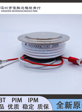 全新N2086NC060 N2086NC080 N2086NC100 N2086NC120 N2086NS100现