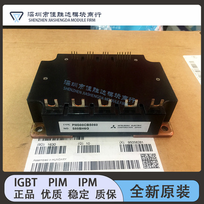 PM450CS1H060 PM200CBS060 PM300CBS060 PM300CS1H060 PM150CBS06