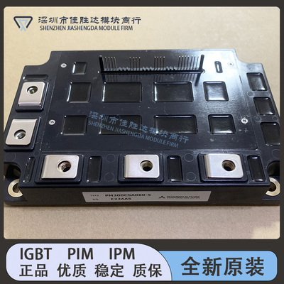 全新PM300CSA060-5 PM200CSA060 PM300CSD060 PM200RSA060 现货咨