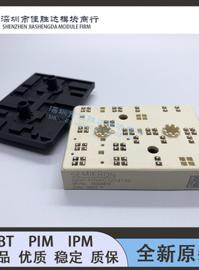 SKiiP31NAC12T4T42 SKIIP32NAB12T45 SKIIP31NAC12T2 SKIIP30NAC1