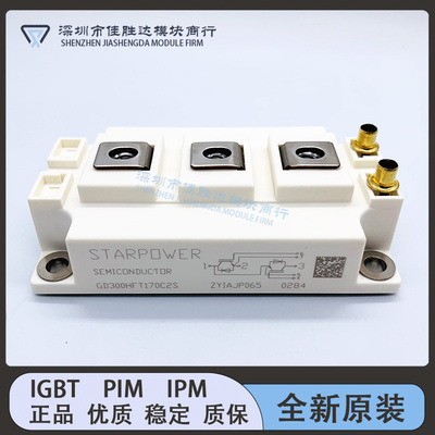 GD150HFL120C2S GD200HFL120C2S GD300HFT170C2S GD150HFU120C2S