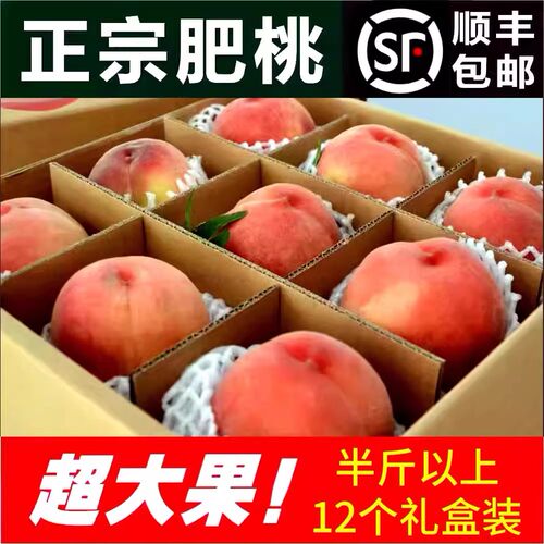 现摘泰安肥城肥城桃顺丰礼盒