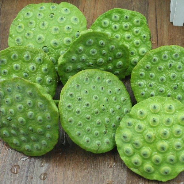 现货洪湖新鲜莲蓬 新鲜莲子 生吃嫩莲蓬脆甜可口绿色蔬菜3斤包邮