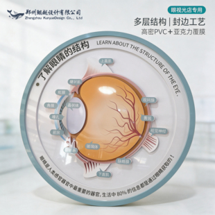 眼科科普文化墙立体眼球模型眼镜店互动道具眼视光医院学校教学展