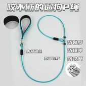 金毛拉布拉多宠物用品训犬绳 项圈钢丝P绳 防爆冲防咬 狗狗牵引绳