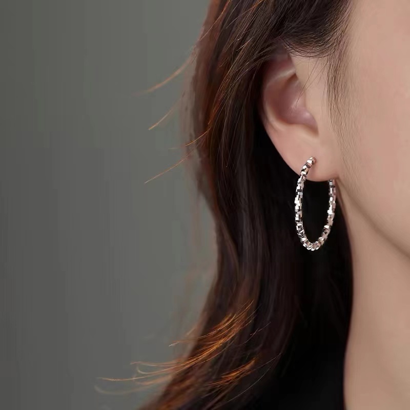 925银碎银子耳环轻奢新款2024爆款耳钉女小众高级感耳饰