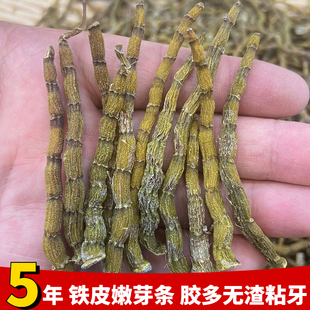 正宗霍山特级铁皮石斛干条芽条正品磨粉泡水喝养生茶新鲜中药材