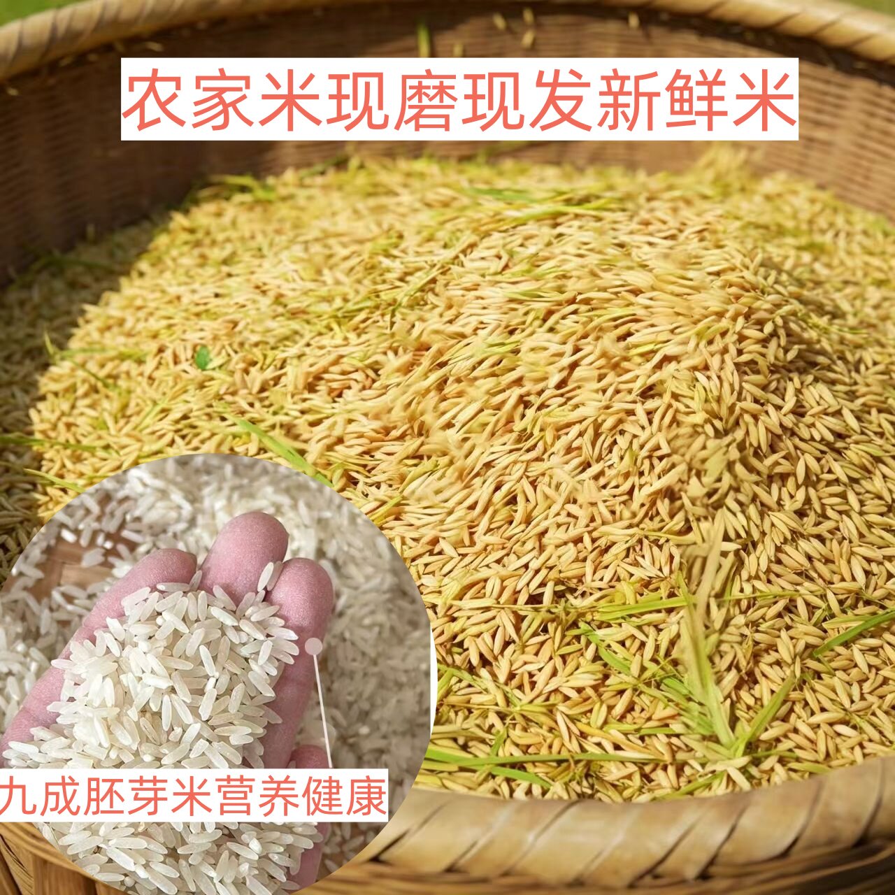 湖南现磨无添加长粒胚芽米农家自种不打蜡南方原生态新鲜大米中稻