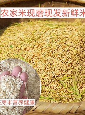 湖南农家自种无添加胚芽米新米