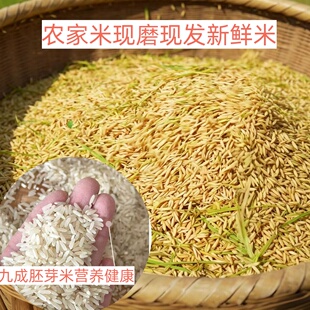 湖南现磨无添加长粒胚芽米农家自种不打蜡南方原生态新鲜大米中稻
