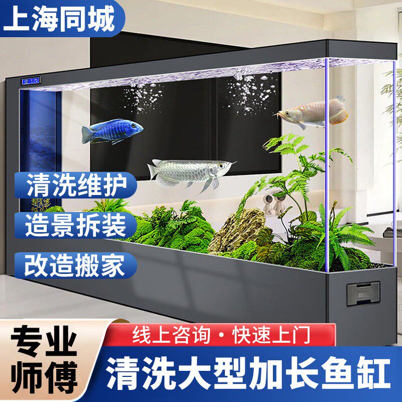 上海地区定期上门服务维护保养清洗大鱼缸清理水族箱安装搬运搬家
