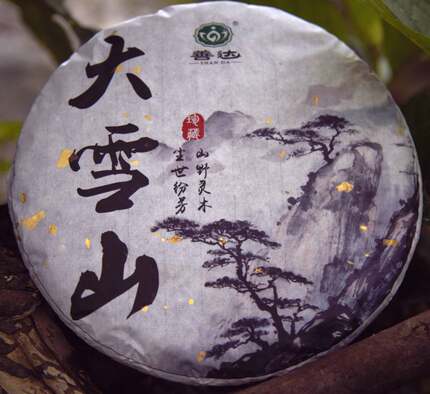 云南大雪山生普洱2021年春茶临沧勐库纯料古树手工善达七子饼357g