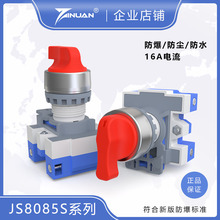 JS8085S-A防爆防尘防腐万能转换开关二档三档银点开闭两开孔22mm