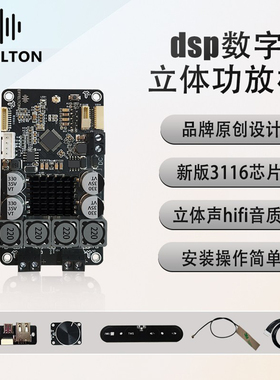 DSP蓝牙数字功放板发烧立体声低音炮真HIFI车载新品tpa3116