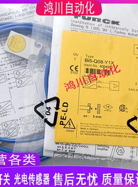 BI5U-Q08-AP6X2/AN6X2/Y1X/VN6X2/VP6X2-V2131/V1131 1XOR-RS4S34