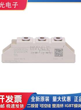 原装SKKD 100/18 西门康SKKD46/81/100-12-16-18功率可控模块