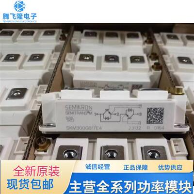 直拍SKM150GB17E4  SKM200GB17E4 SKM300GB17E4 SKM400GB17E4现货