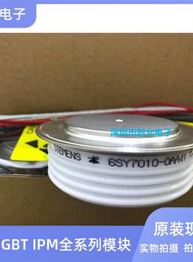6SY7010-0AA41 6SY7010-0AA46 6SY7010-0AA44 6SY7010-0AA45原装