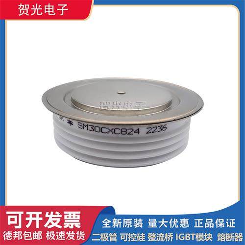 模块SM30CXC824/T358N12TOF/T459N16TOF/T508N16TOF/T560N16TOF