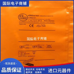易福门IIS227 IIS230 IIS231 IIS232 IIS228 IIS229 IIS233IIS234
