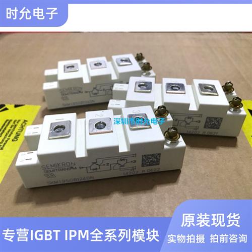 SKM100GB125DN SKM195GB124DN