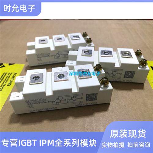 SKM100GB125DN SKM195GB124DN