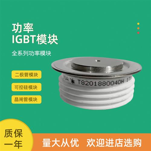 平板可控硅晶闸管T828N06TOF T860N30TOF T860N32TOF T860N34TOF