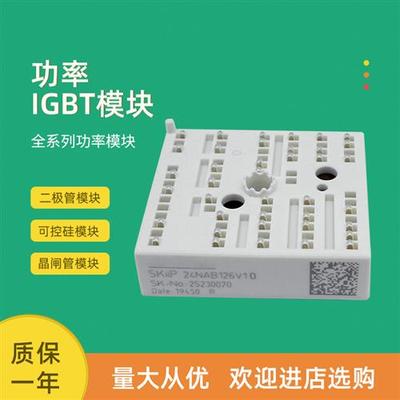 功率IGBT模块SKiiP25AC12T4V1 SKiiP25NAB065V1 SKiiP25NAB065V10