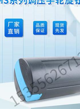 MS12-LR-LD 德国FESTO调压手轮现货