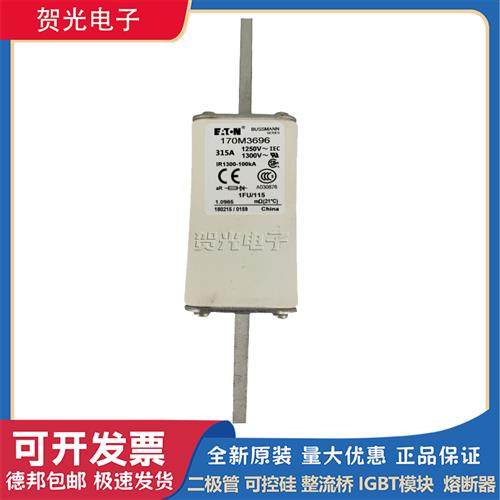 全新进口熔断器170M3693/3694/3695/3696/3697/3739/3740