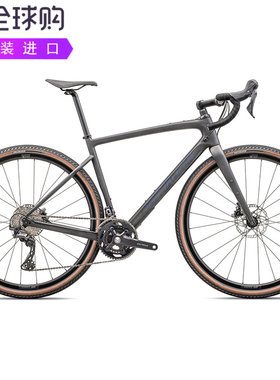 Specialized 2024 Diverge Sport FACT 8r碳纤维舒适公路自行车