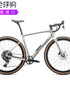 Specialized 2024 Diverge Expert 碳纤维灵敏稳定公路自行车